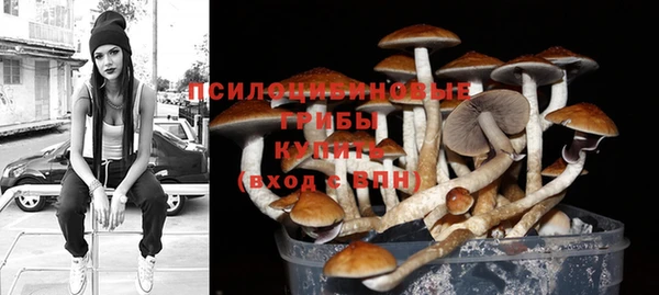 винт Баксан