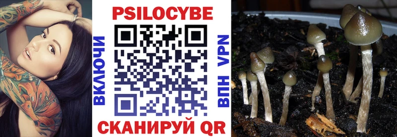 ОМГ ОМГ сайт  Балей  Галлюциногенные грибы GOLDEN TEACHER 